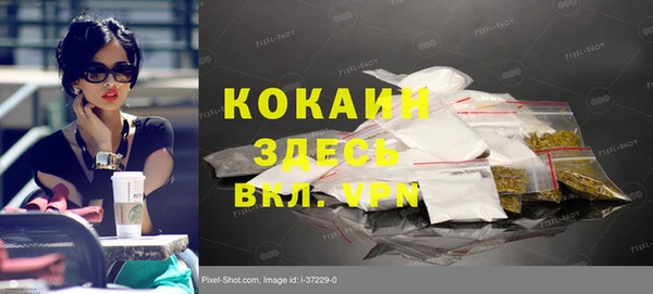 гашик Алзамай