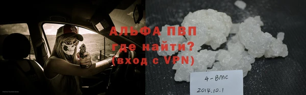 гашик Алзамай