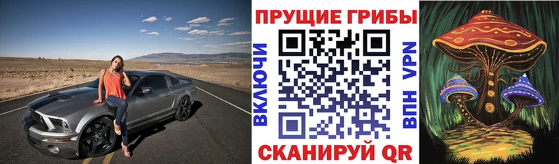 OMG рабочий сайт  Первоуральск  Псилоцибиновые грибы мицелий 